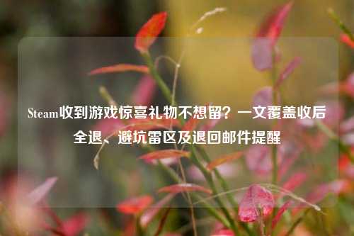 Steam收到游戏惊喜礼物不想留?一文覆盖收后全退、避坑雷区及退回邮件提醒