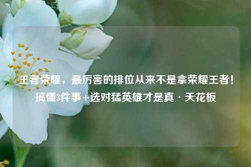 王者荣耀,最厉害的排位从来不是拿荣耀王者!搞懂3件事+选对猛英雄才是真·天花板