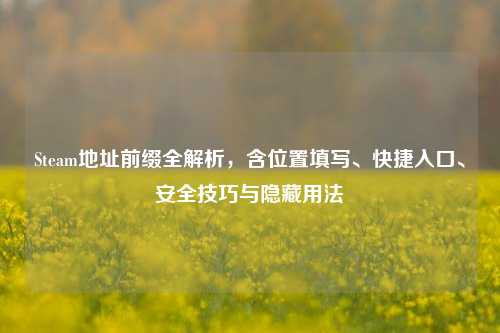 Steam地址前缀全解析,含位置填写、快捷入口、安全技巧与隐藏用法