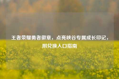 王者荣耀勇者徽章,点亮峡谷专属成长印记,附兑换入口指南