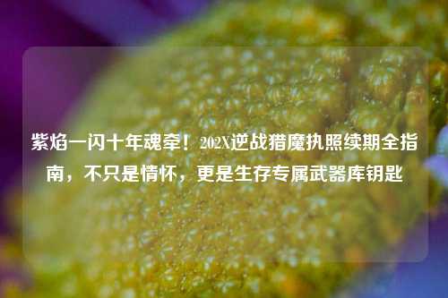紫焰一闪十年魂牵!202X逆战猎魔执照续期全指南,不只是情怀,更是生存专属武器库钥匙