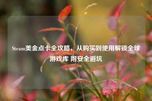 Steam美金点卡全攻略,从购买到使用解锁全球游戏库 附安全避坑
