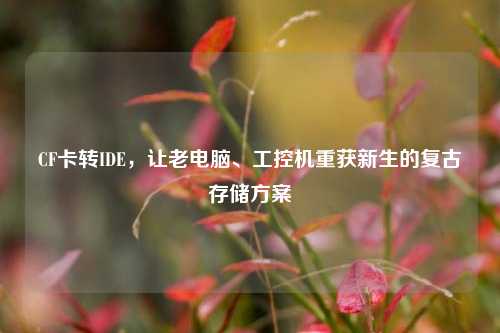 CF卡转IDE,让老电脑、工控机重获新生的复古存储方案