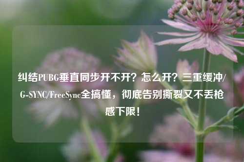 纠结PUBG垂直同步开不开?怎么开?三重缓冲/G-SYNC/FreeSync全搞懂,彻底告别撕裂又不丢枪感下限!