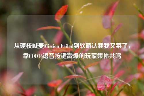 从硬核喊麦Mission Failed到软萌认栽我又菜了,靠COD16语音按键戳爆的玩家集体共鸣