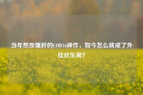 当年熬夜爆肝的COD16神作,如今怎么就成了外挂欢乐窝?
