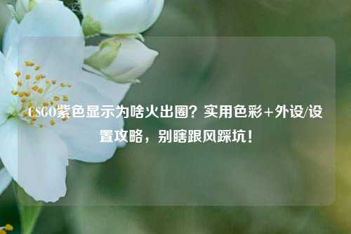 CSGO紫色显示为啥火出圈？实用色彩+外设/设置攻略，别瞎跟风踩坑！