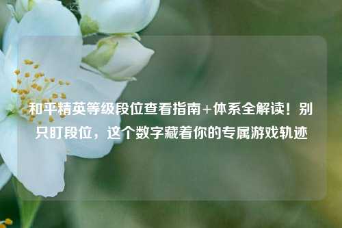 和平精英等级段位查看指南+体系全解读!别只盯段位,这个数字藏着你的专属游戏轨迹