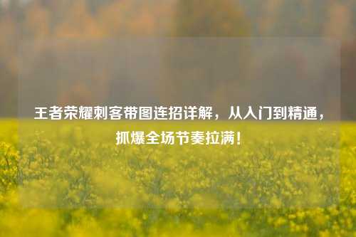 王者荣耀刺客带图连招详解,从入门到精通,抓爆全场节奏拉满!