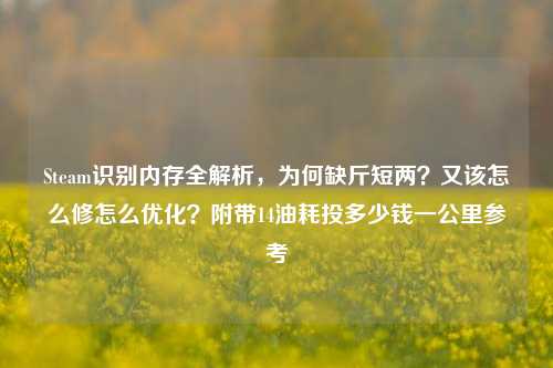 Steam识别内存全解析，为何缺斤短两？又该怎么修怎么优化？附带14油耗投多少钱一公里参考