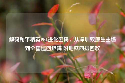 解码和平精英PEL进化密码，从深圳双原生主场到全国巡回矩阵 附地铁四排回放
