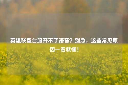 英雄联盟台服开不了语音？别急，这些常见原因一看就懂！