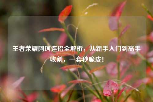 王者荣耀阿珂连招全解析,从新手入门到高手收割,一套秒脆皮!