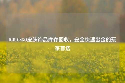 IGB CSGO皮肤饰品库存回收,安全快速出金的玩家首选