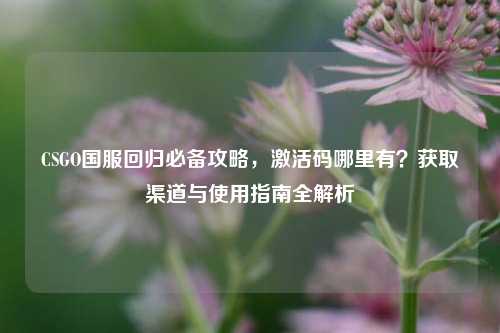 CSGO国服回归必备攻略,激活码哪里有?获取渠道与使用指南全解析