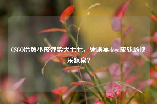 CSGO治愈小核弹柴犬七七,凭啥靠doge成战场快乐源泉?