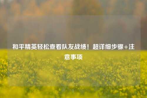 和平精英轻松查看队友战绩！超详细步骤+注意事项