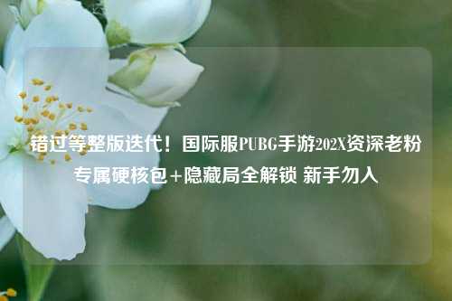 错过等整版迭代!国际服PUBG手游202X资深老粉专属硬核包+隐藏局全解锁 新手勿入