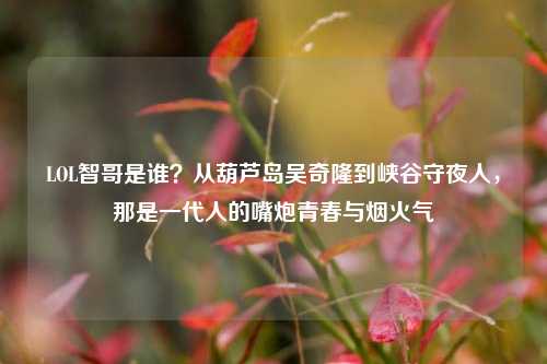 LOL智哥是谁?从葫芦岛吴奇隆到峡谷守夜人,那是一代人的嘴炮青春与烟火气