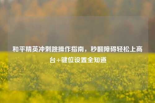 和平精英冲刺跳操作指南,秒翻障碍轻松上高台+键位设置全知道