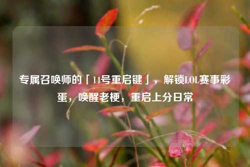 专属召唤师的「14号重启键」,解锁LOL赛事彩蛋,唤醒老梗,重启上分日常