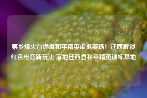 栗乡烽火台燃爆和平精英虚拟赛场!迁西解锁红色电竞新玩法 落地迁西县和平精英训练基地