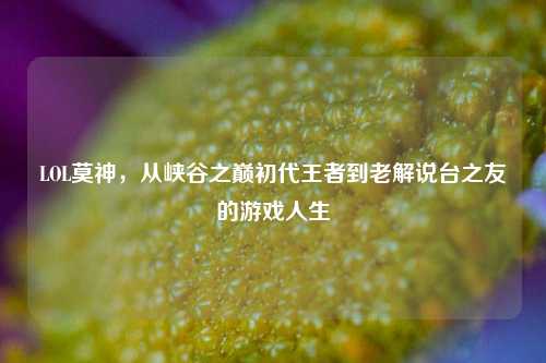 LOL莫神,从峡谷之巅初代王者到老解说台之友的游戏人生