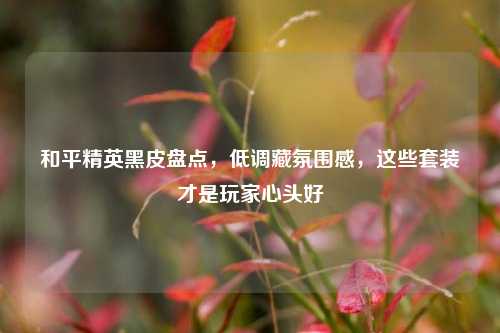 和平精英黑皮盘点,低调藏氛围感,这些套装才是玩家心头好