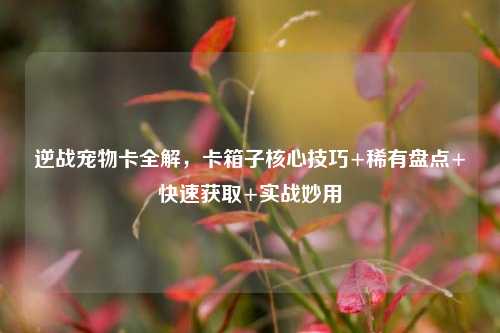 逆战宠物卡全解,卡箱子核心技巧+稀有盘点+快速获取+实战妙用