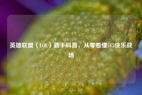 英雄联盟(LOL)新手科普,从零看懂5V5快乐战场
