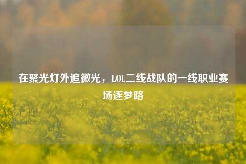 在聚光灯外追微光,LOL二线战队的一线职业赛场逐梦路