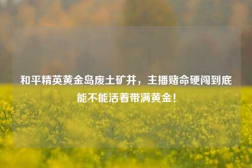 和平精英黄金岛废土矿井,主播赌命硬闯到底能不能活着带满黄金!