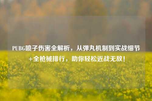 PUBG喷子伤害全解析,从弹丸机制到实战细节+全枪械排行,助你轻松近战无敌!