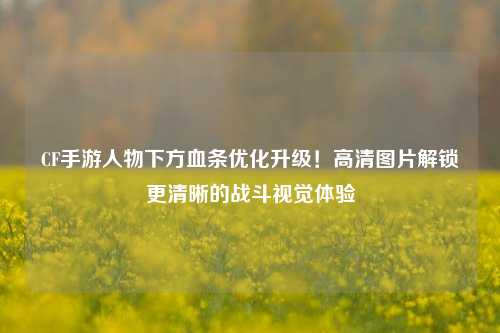 CF手游人物下方血条优化升级!高清图片解锁更清晰的战斗视觉体验