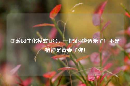 CF随风生化模式13号,一把M60蹲透笼子!不是枪神是青春子弹!