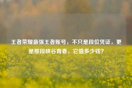 王者荣耀最强王者账号,不只是段位凭证,更是那段峡谷青春,它值多少钱?