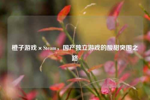 橙子游戏×Steam,国产独立游戏的酸甜突围之路