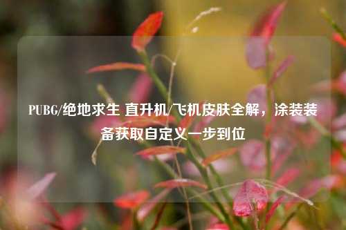 PUBG/绝地求生 直升机/飞机皮肤全解,涂装装备获取自定义一步到位