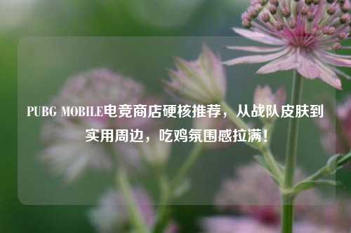 PUBG MOBILE电竞商店硬核推荐,从战队皮肤到实用周边,吃鸡氛围感拉满!