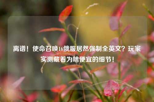 离谱!使命召唤16俄服居然强制全英文?玩家实测藏着为啥便宜的细节!
