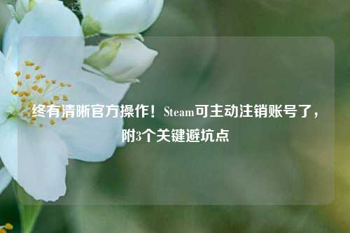 终有清晰官方操作!Steam可主动注销账号了,附3个关键避坑点