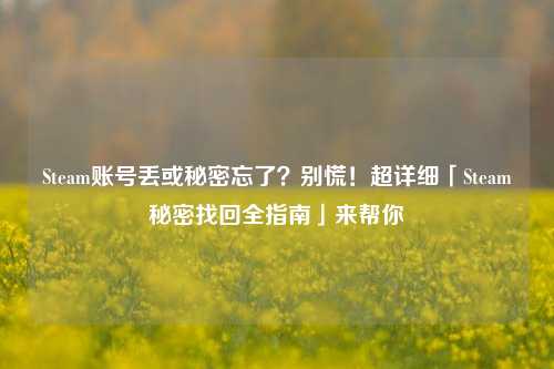 Steam账号丢或秘密忘了？别慌！超详细「Steam秘密找回全指南」来帮你