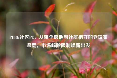 PUBG社区PC,从跳伞落地到社群相守的老玩家温度,市场解除限制焕新出发