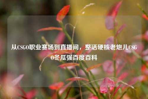 从CSGO职业赛场到直播间,整活硬核老炮儿CSGO冬瓜强百度百科