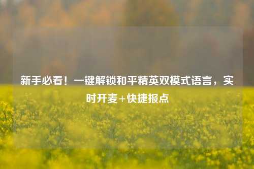 新手必看!一键解锁和平精英双模式语言,实时开麦+快捷报点