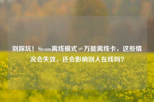 别踩坑!Steam离线模式≠万能离线卡,这些情况会失效,还会影响别人在线吗?