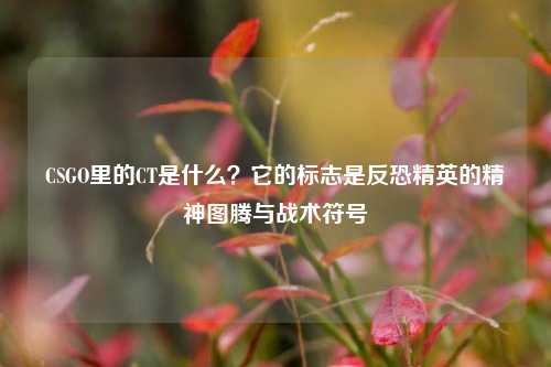 CSGO里的CT是什么?它的标志是反恐精英的精神图腾与战术符号