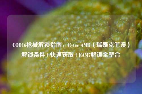 COD16枪械解锁指南,Rytec AMR(瑞泰克笔误)解锁条件+快速获取+RAM7解锁全整合