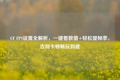 CF FPS设置全解析,一键看数值+轻松提帧率,告别卡顿畅玩到底