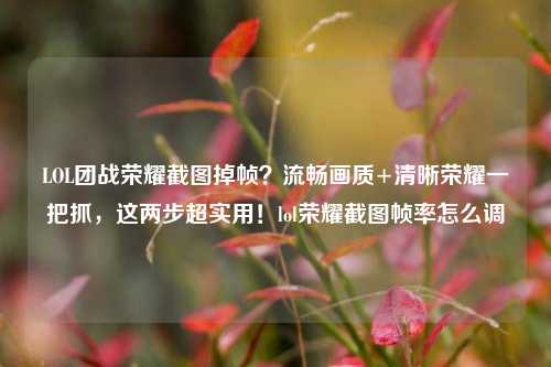 LOL团战荣耀截图掉帧？流畅画质+清晰荣耀一把抓，这两步超实用！lol荣耀截图帧率怎么调